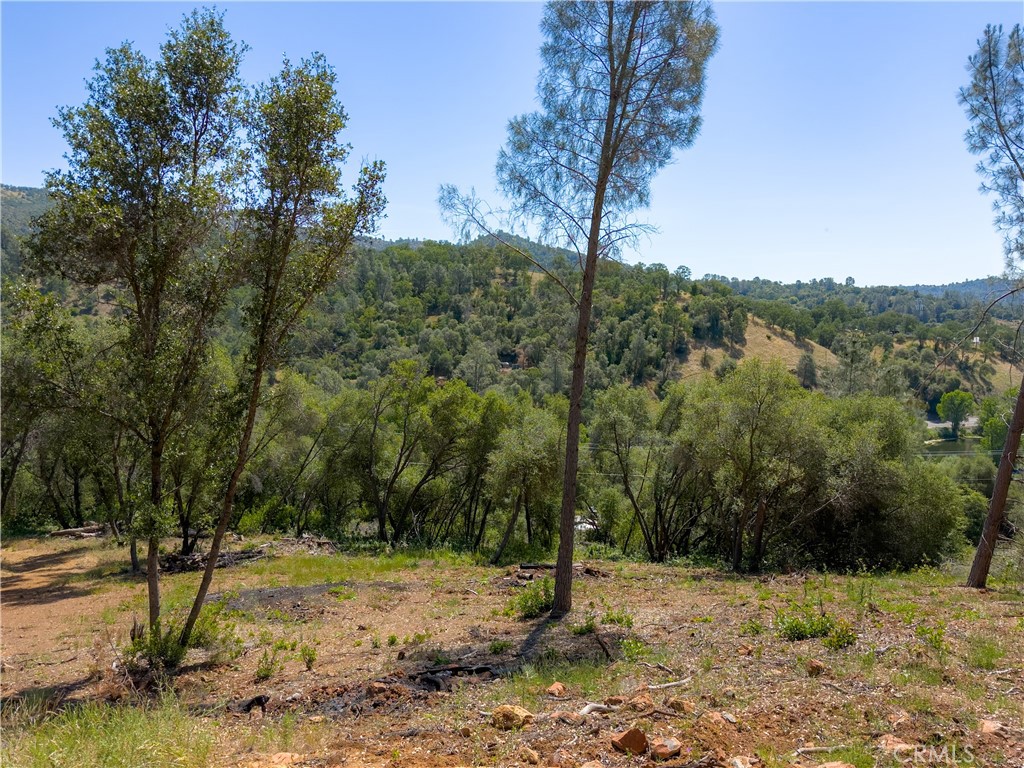 10 Miller Road Mariposa, CA 95338 - Photo 31 of 34 a view of a tree in a yard