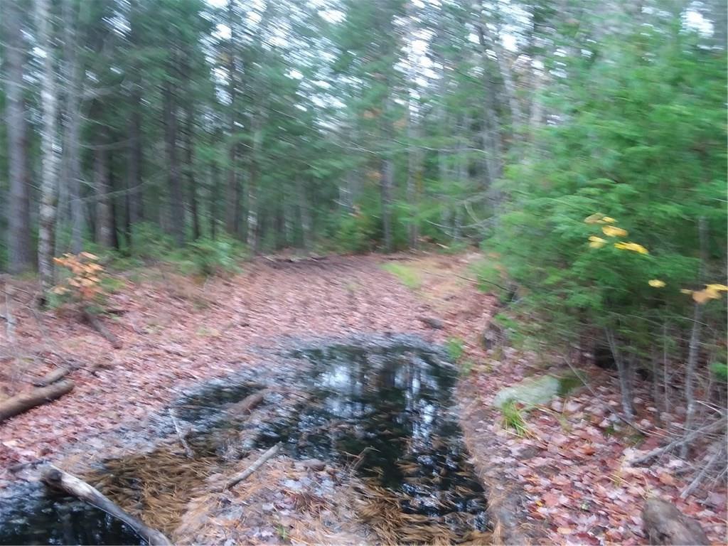 1320 Manktown Road Waldoboro, ME 04572 - Photo 5 of 5 aprox 50 yards into the property