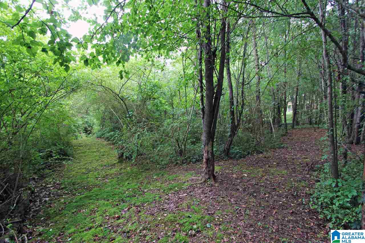 665 Oak Hill Road Oxford, AL 36203 - Photo 23 of 50