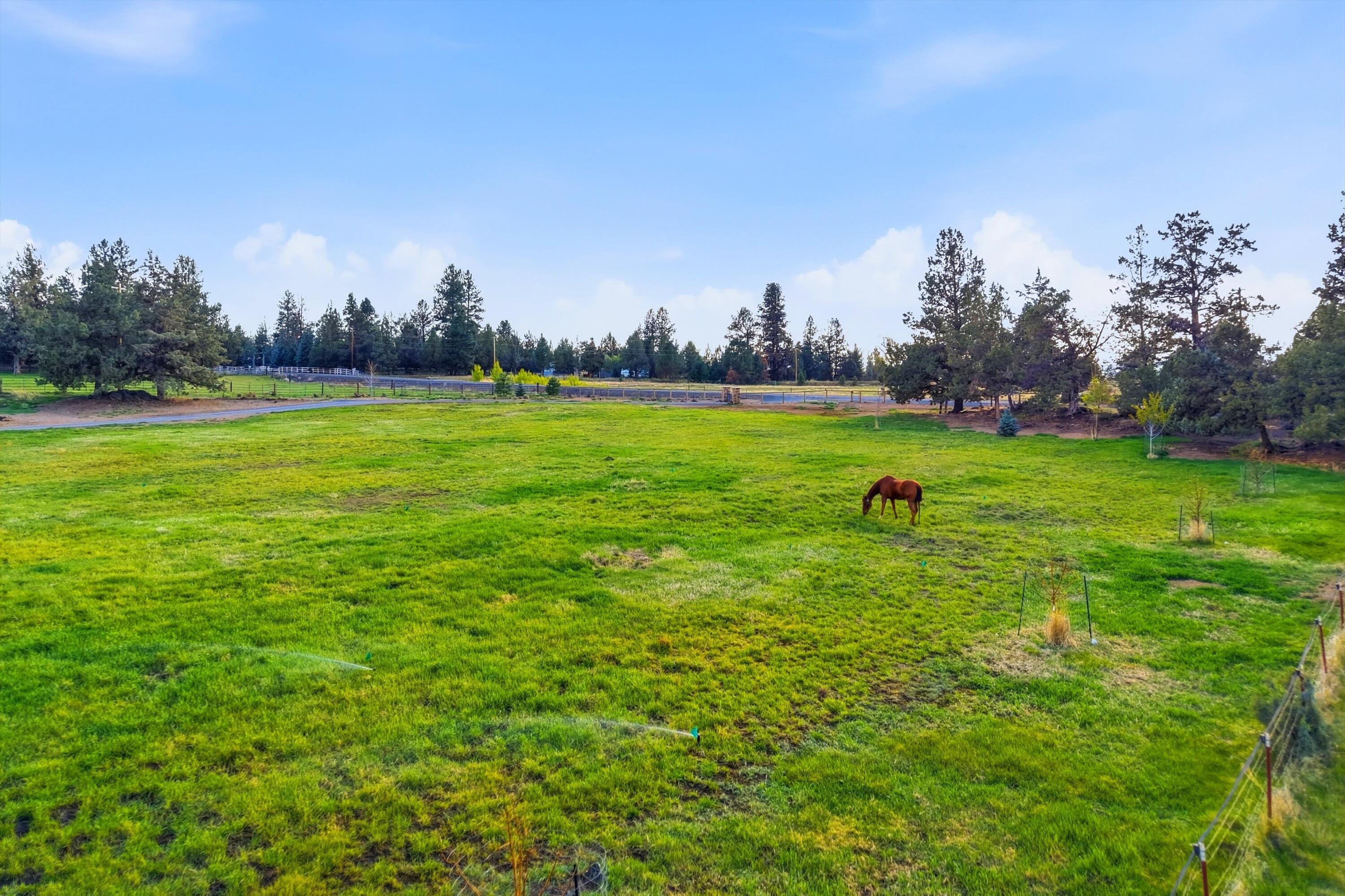 61280 Larsen Road Bend, OR 97702 - Photo 49 of 58 a view of a field of grass and trees