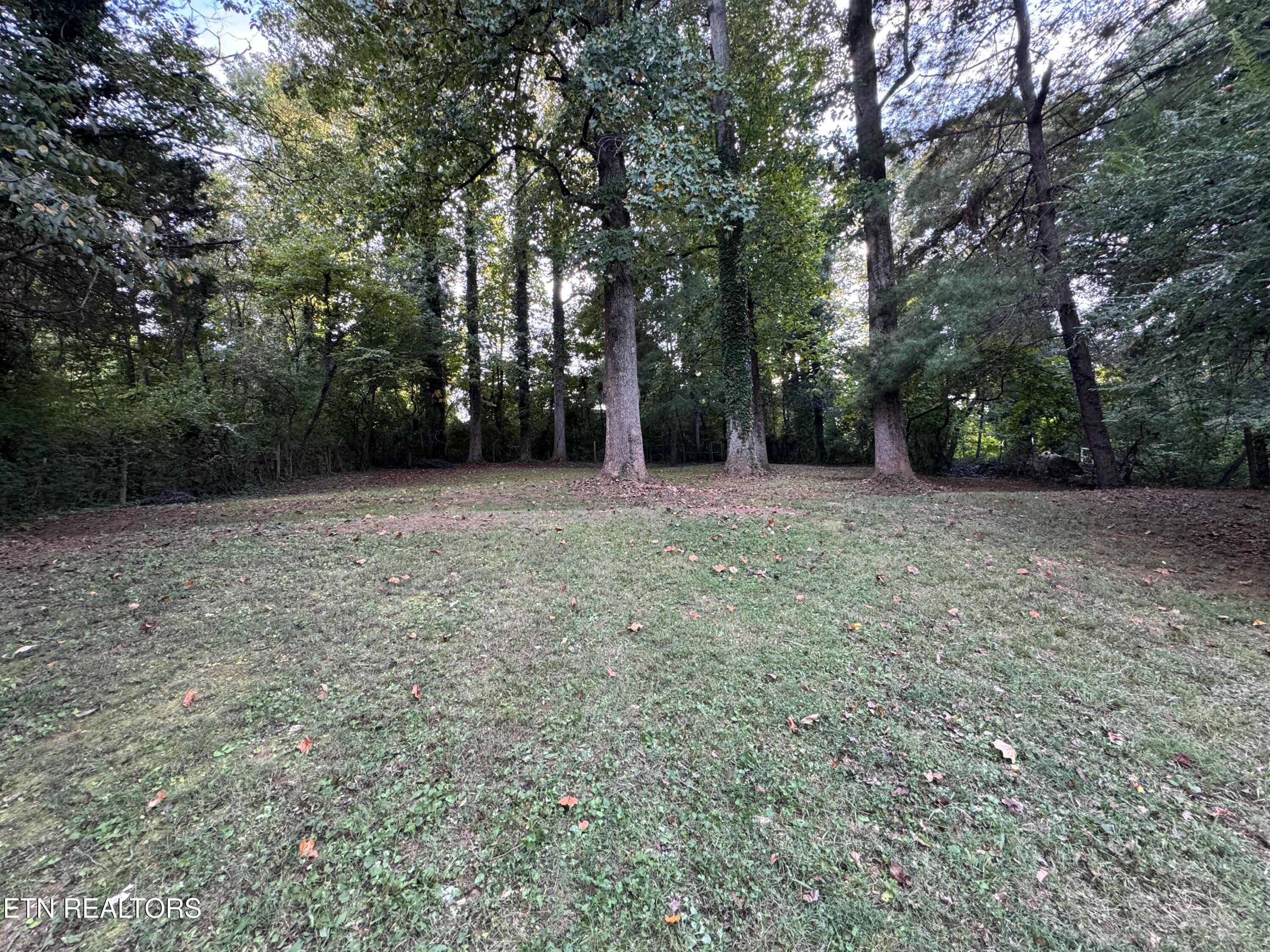 102 Oxford Road Oak Ridge, TN 37830 - Photo 57 of 58 IMG_5506