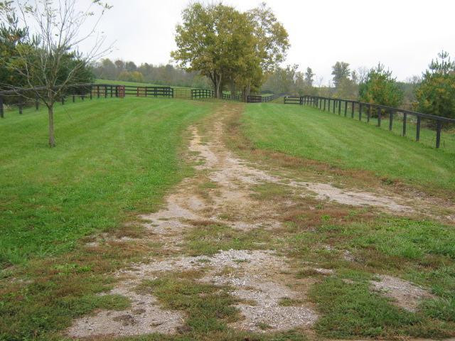 503 Colville Road Paris, KY 40361 - Photo 32 of 46 Photo 32