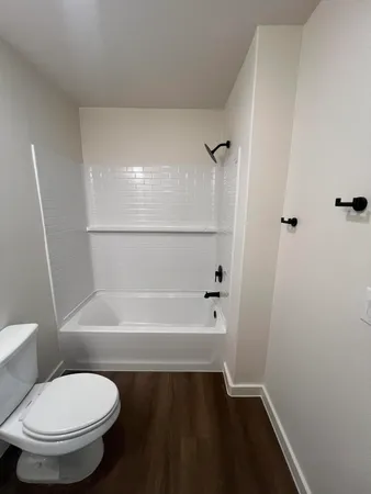 a bathroom with a toilet and a bathtub