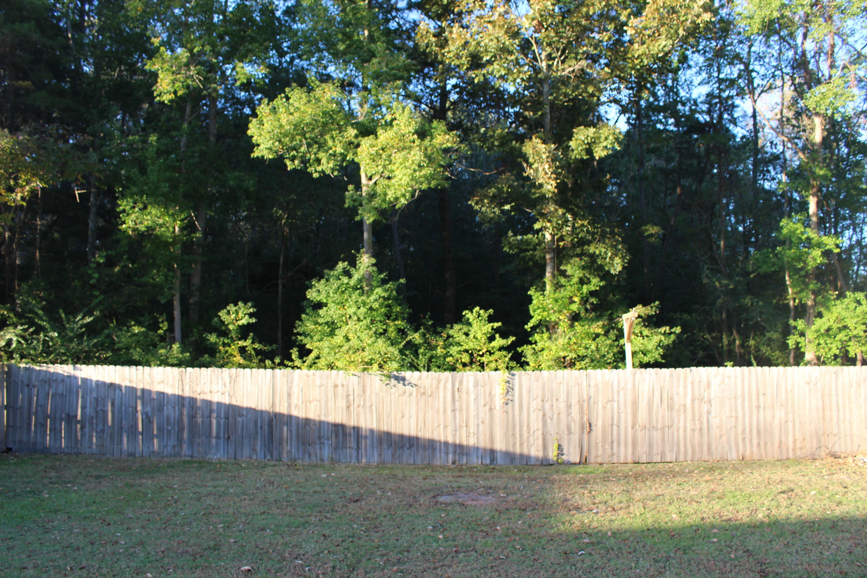 1235 State Rd S-8-806 Moncks Corner, SC 29461 - Photo 20 of 27 IMG_0405