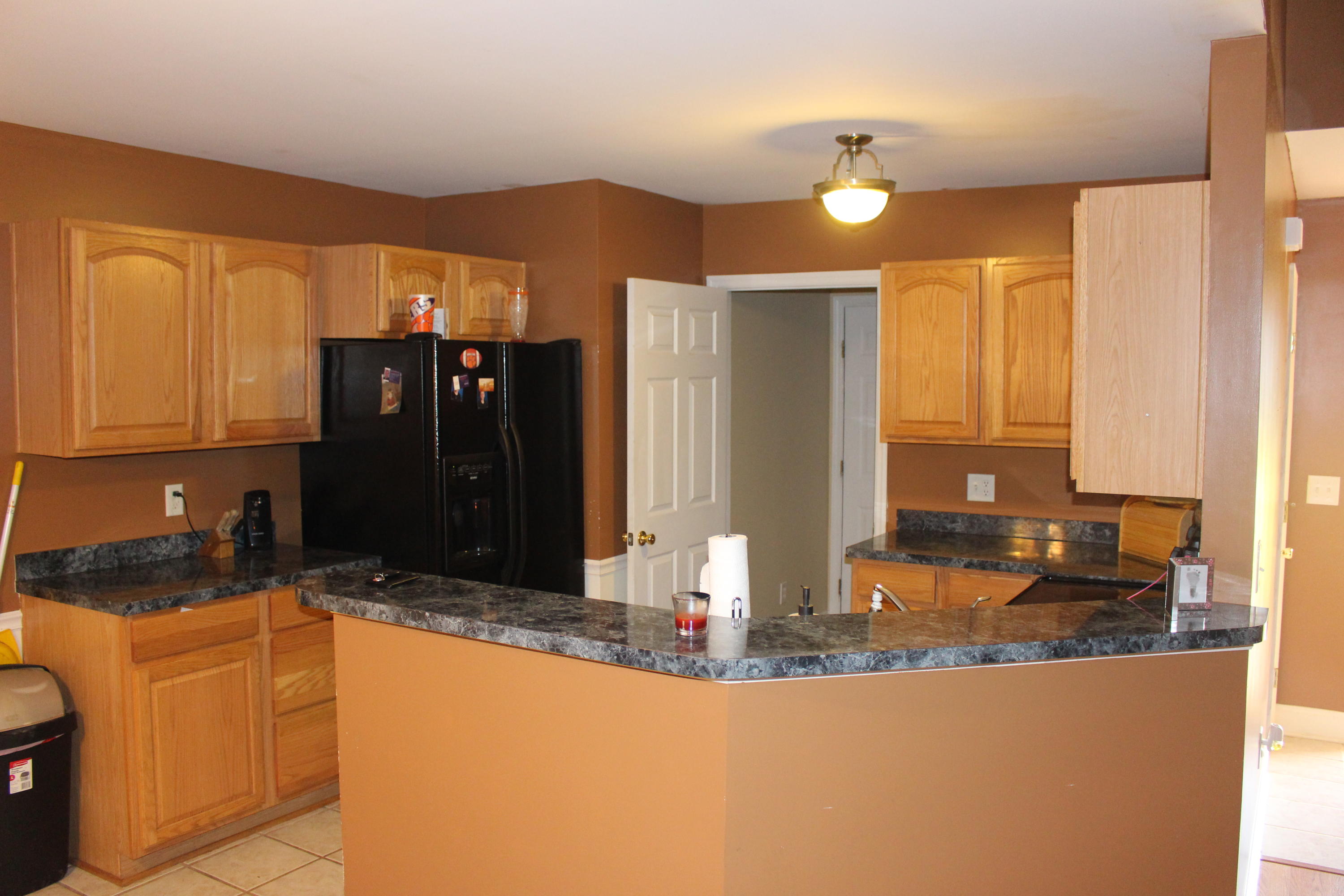 1235 State Rd S-8-806 Moncks Corner, SC 29461 - Photo 4 of 27 IMG_0385