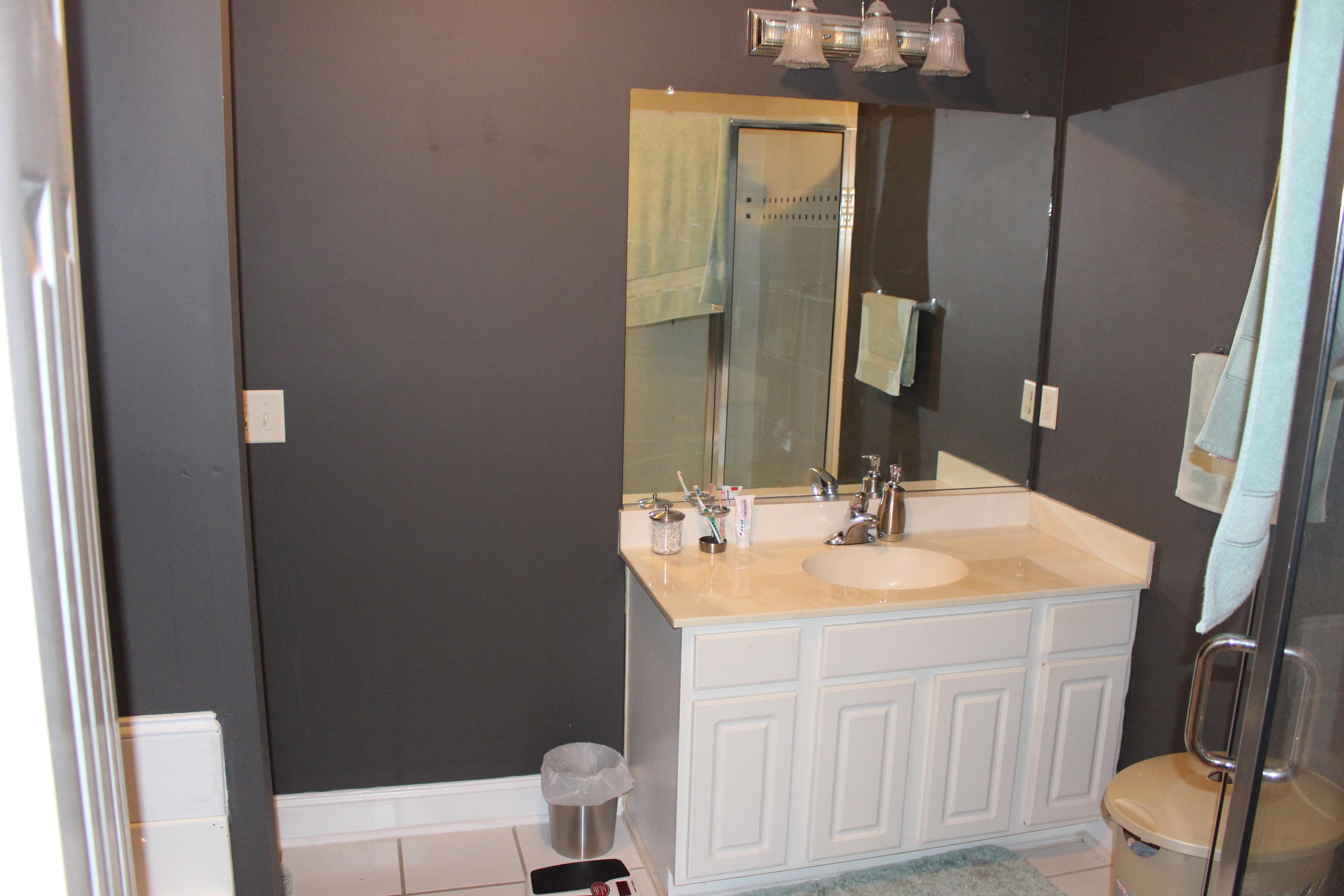 1235 State Rd S-8-806 Moncks Corner, SC 29461 - Photo 9 of 27 IMG_0389