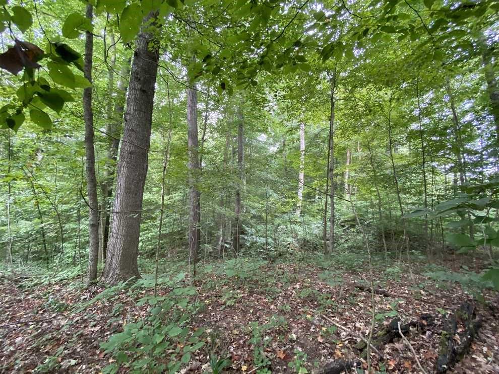 0 Smith Road Nashville, IN 47448 - Photo 14 of 23 Gallery Image 14