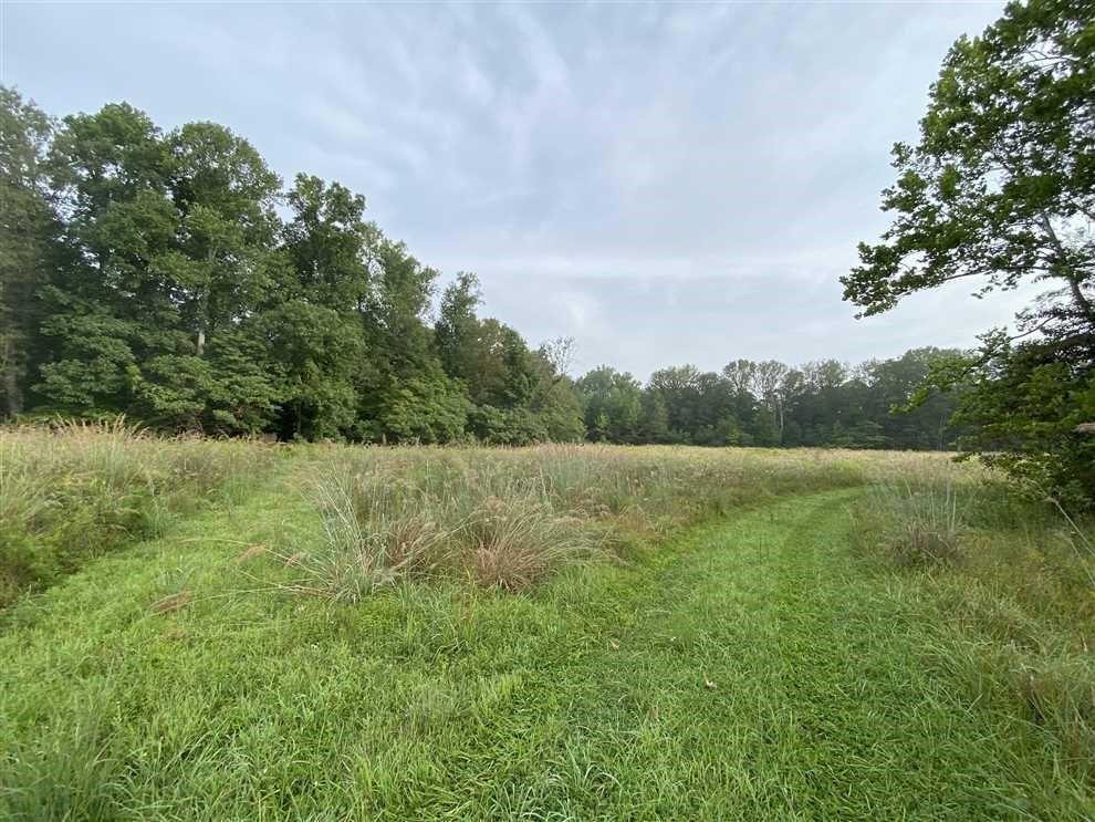 0 Smith Road Nashville, IN 47448 - Photo 4 of 23 Gallery Image 4