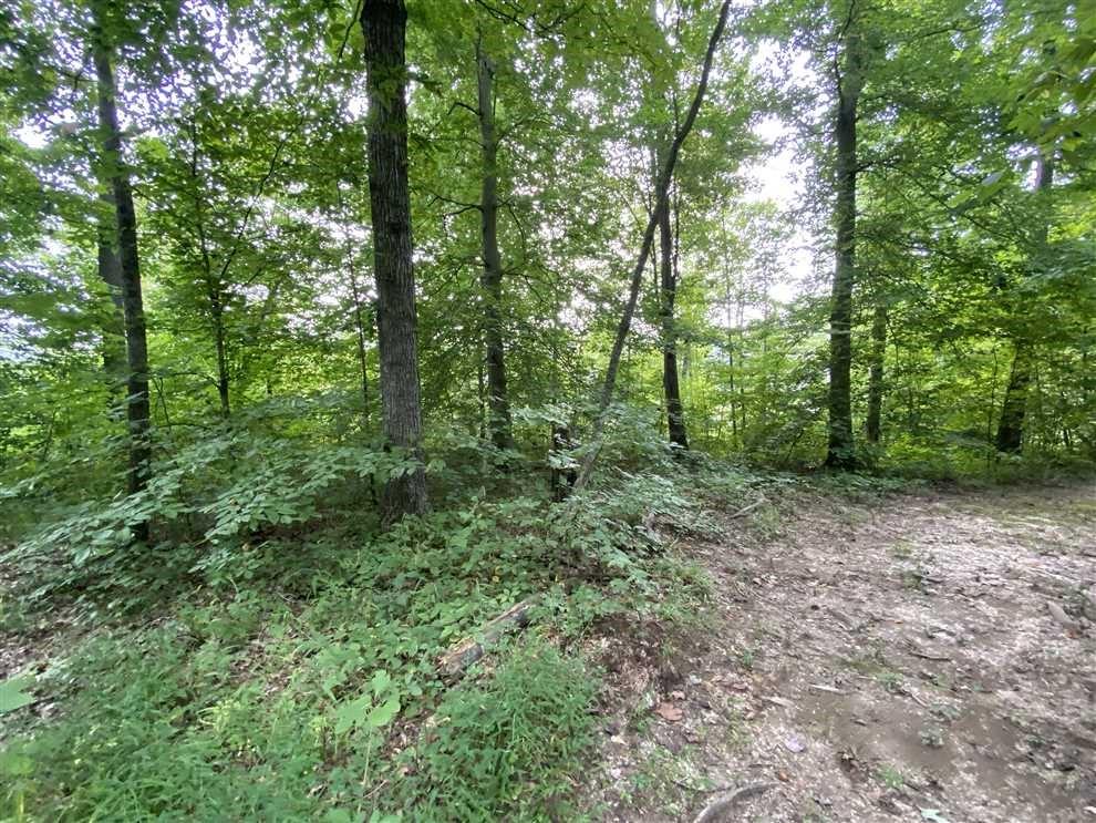 0 Smith Road Nashville, IN 47448 - Photo 10 of 23 Gallery Image 10