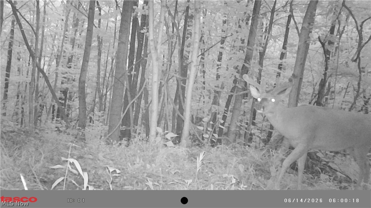 22 County Rt Street St. Marys, WV 26170 - Photo 27 of 28