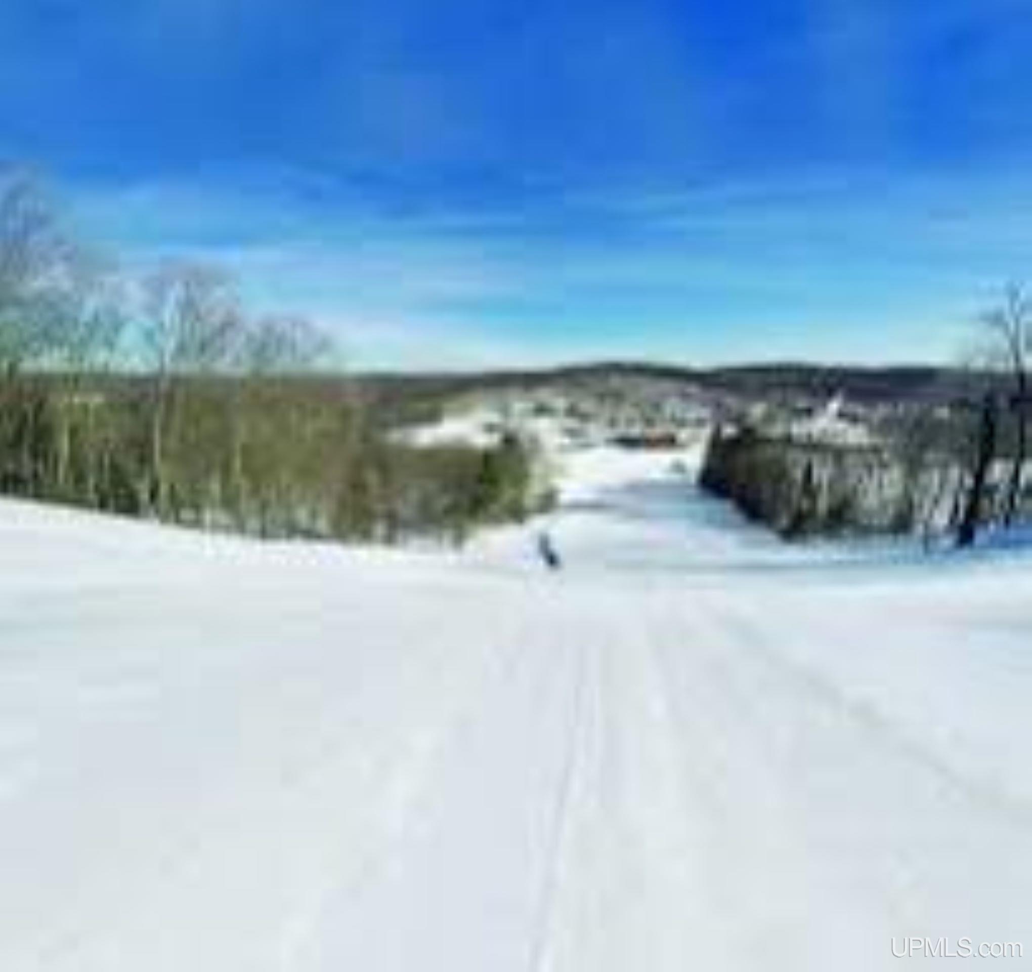 Tbd Little Bear Road Iron River, MI 49935 - Photo 8 of 8