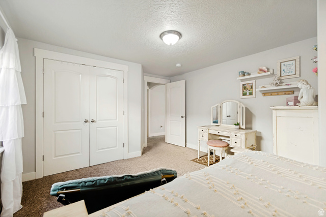 983 West 1550th Street South Springville, UT 84663 - Photo 38 of 43 Carpeted room featuring a double-door spacious closet with arched paneling, and white trim.