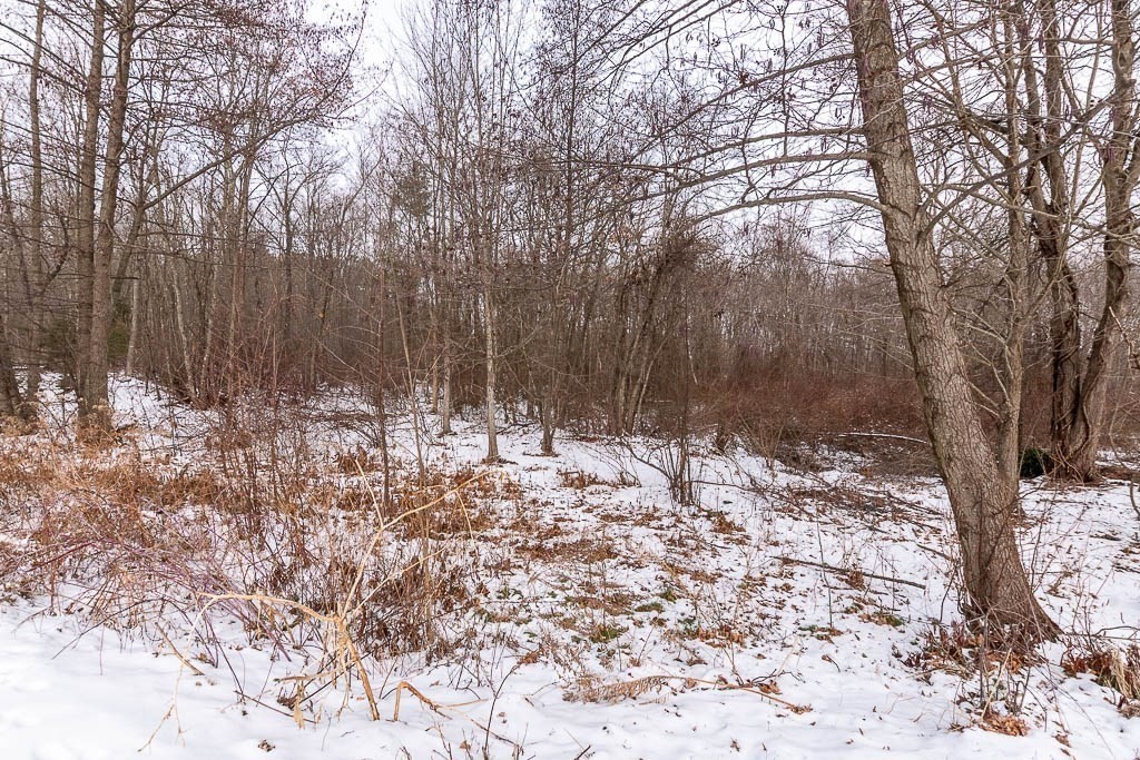 272 Union Street, Unit 272 Walpole, MA 02032 - Photo 27 of 27 a view of snow on a yard
