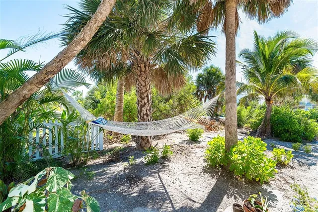 a view of a palm tree with a plant