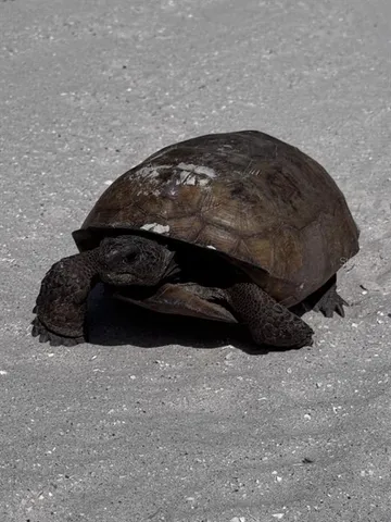 a view of a lake with a city