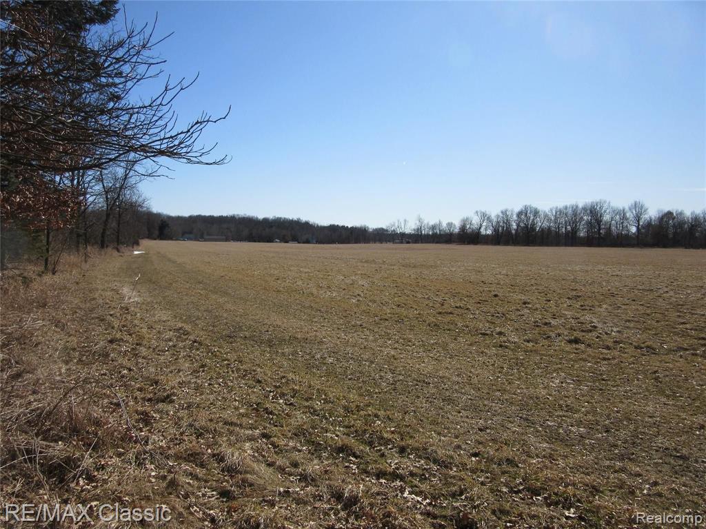 Lot 2 Lone Tree Road Highland, MI 48357 - Photo 1 of 3