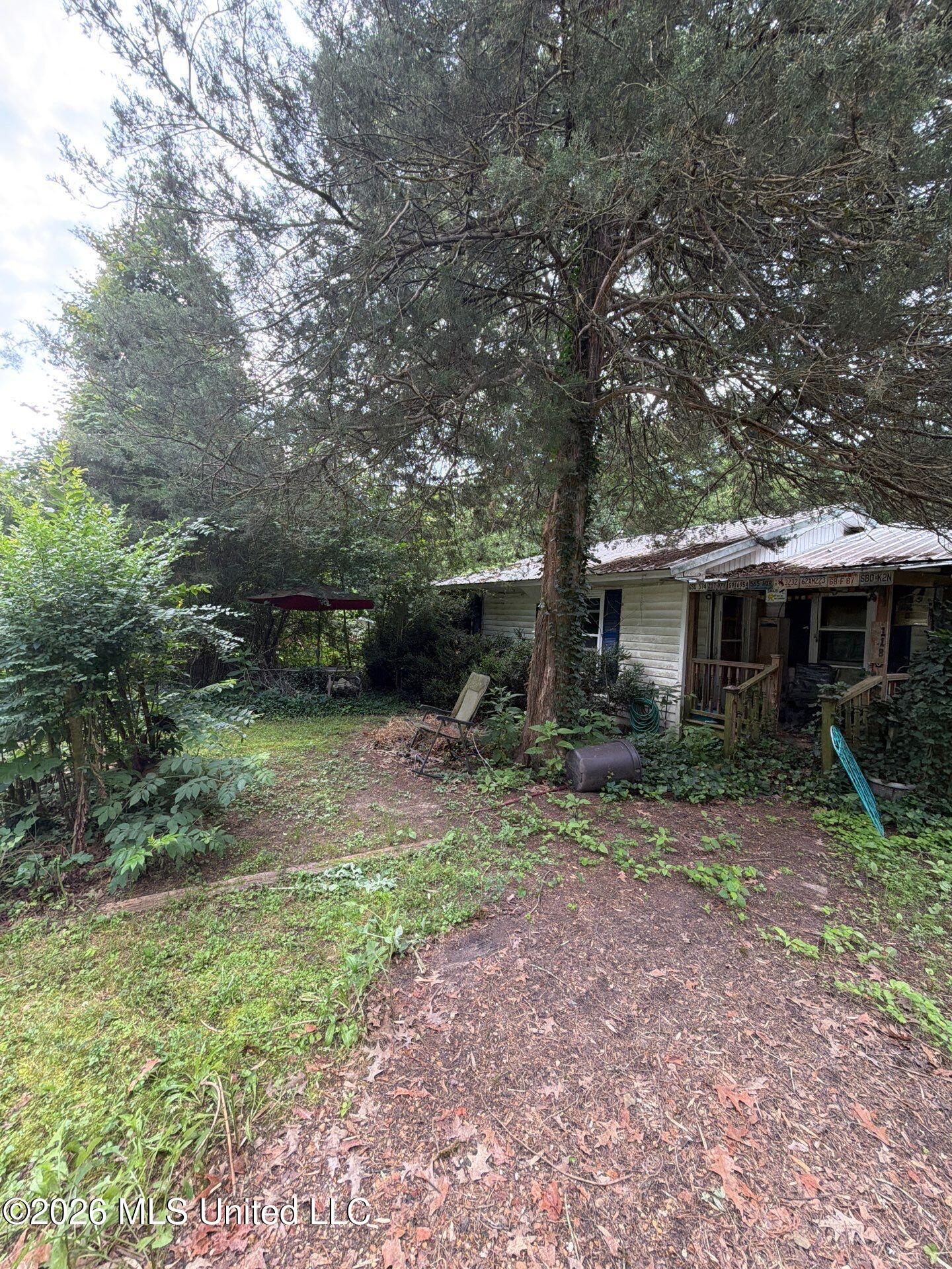 118 Canterbury Road Brandon, MS 39042 - Photo 7 of 60 12-May 19, 2026 13-04-56-fBRN