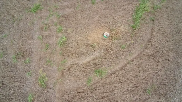 a bathroom with a shower curtain