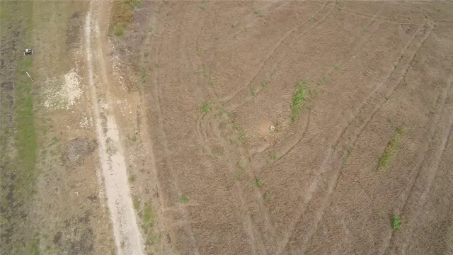 a view of a garden with a pathway