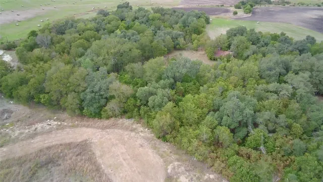 a view of a forest with a street