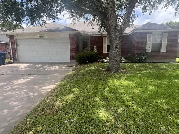 a backyard of a house with plants and large tree