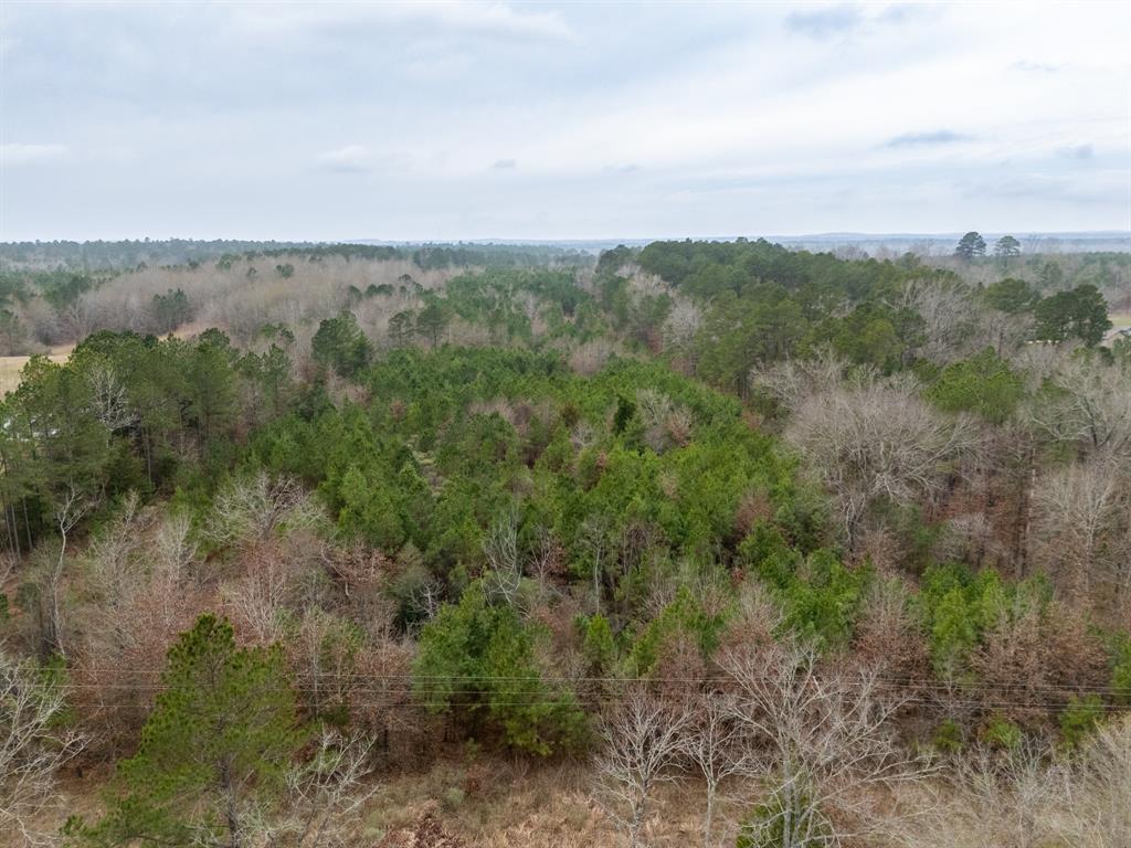 0 Blocker Road Marshall, TX 75672 - Photo 9 of 24 a view of a field of grass and trees