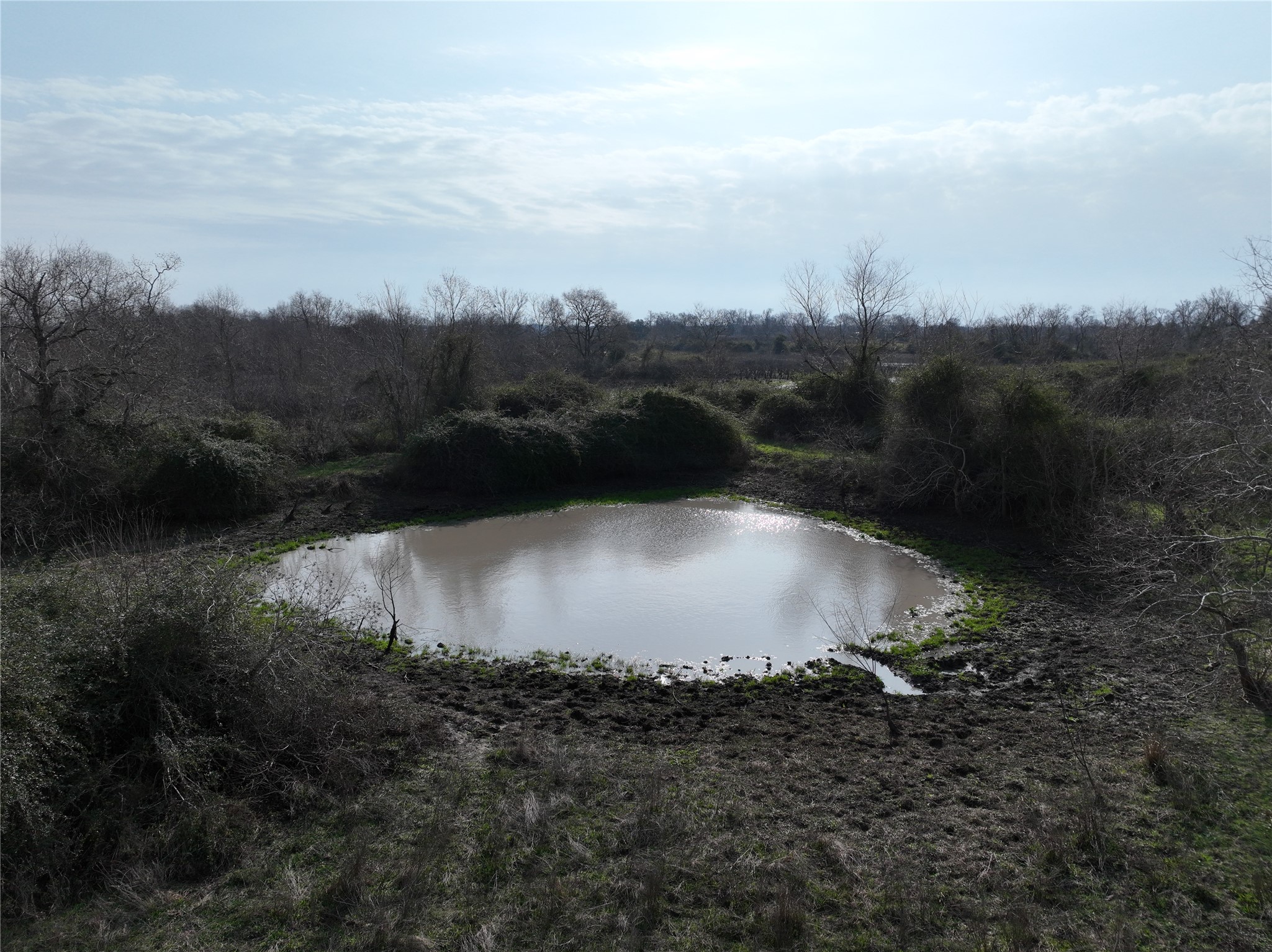 0 Schindler Road Alleyton, TX 78935 - Photo 33 of 39 1 of the small seasonal ponds located on the property - helpful for wildlife and livestock maintenance.