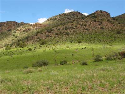 0 Pinery Canyon Road Willcox, AZ 85643 - Photo 6 of 7