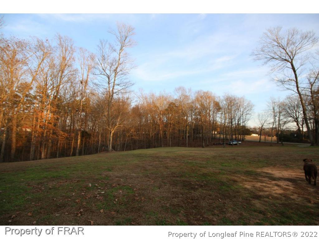 748 Wadsworth Road Carthage, NC 28327 - Photo 5 of 36 a view of outdoor space with city view