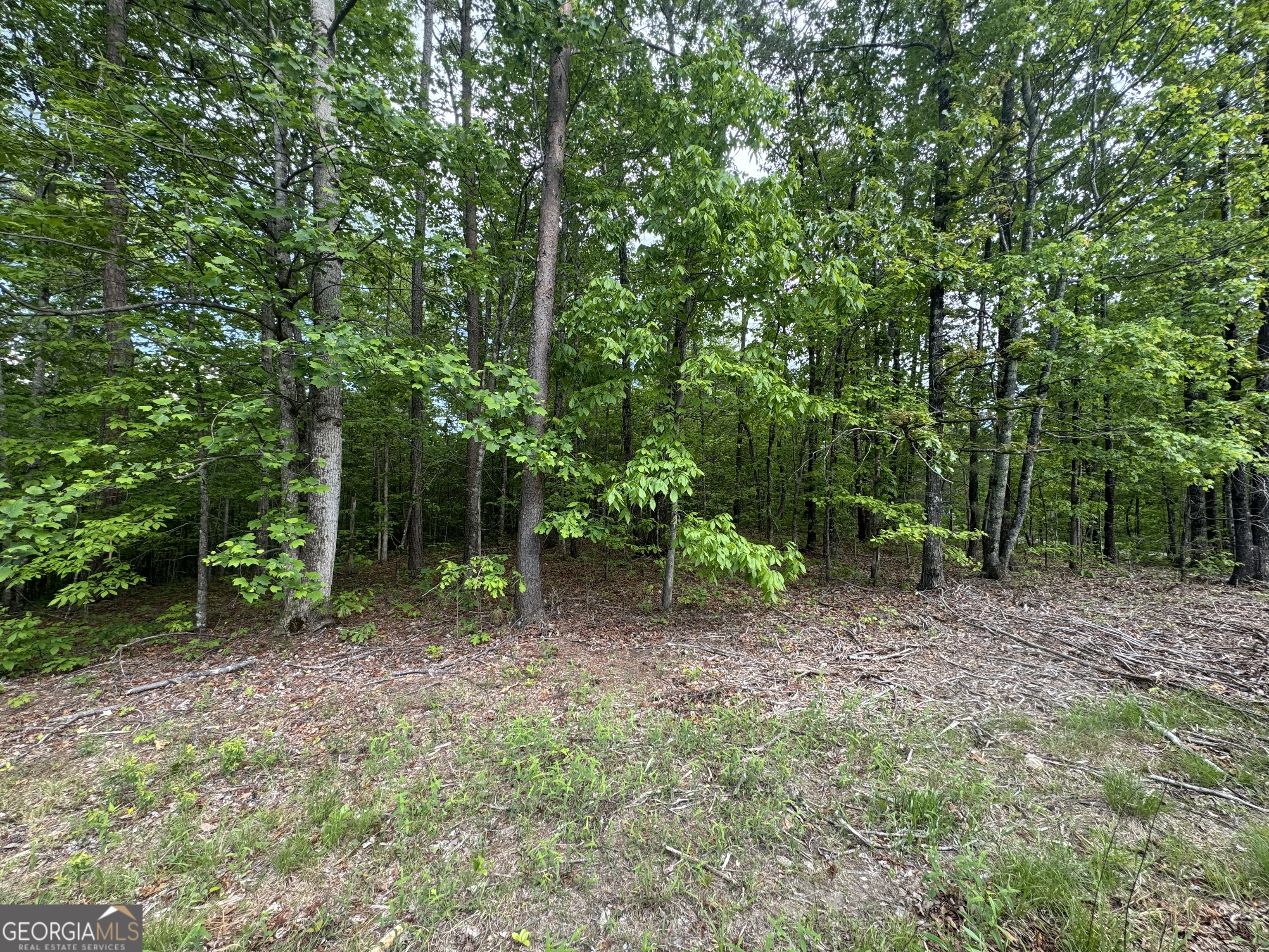 1786 Jones Mountain Road Jasper, GA 30143 - Photo 4 of 5