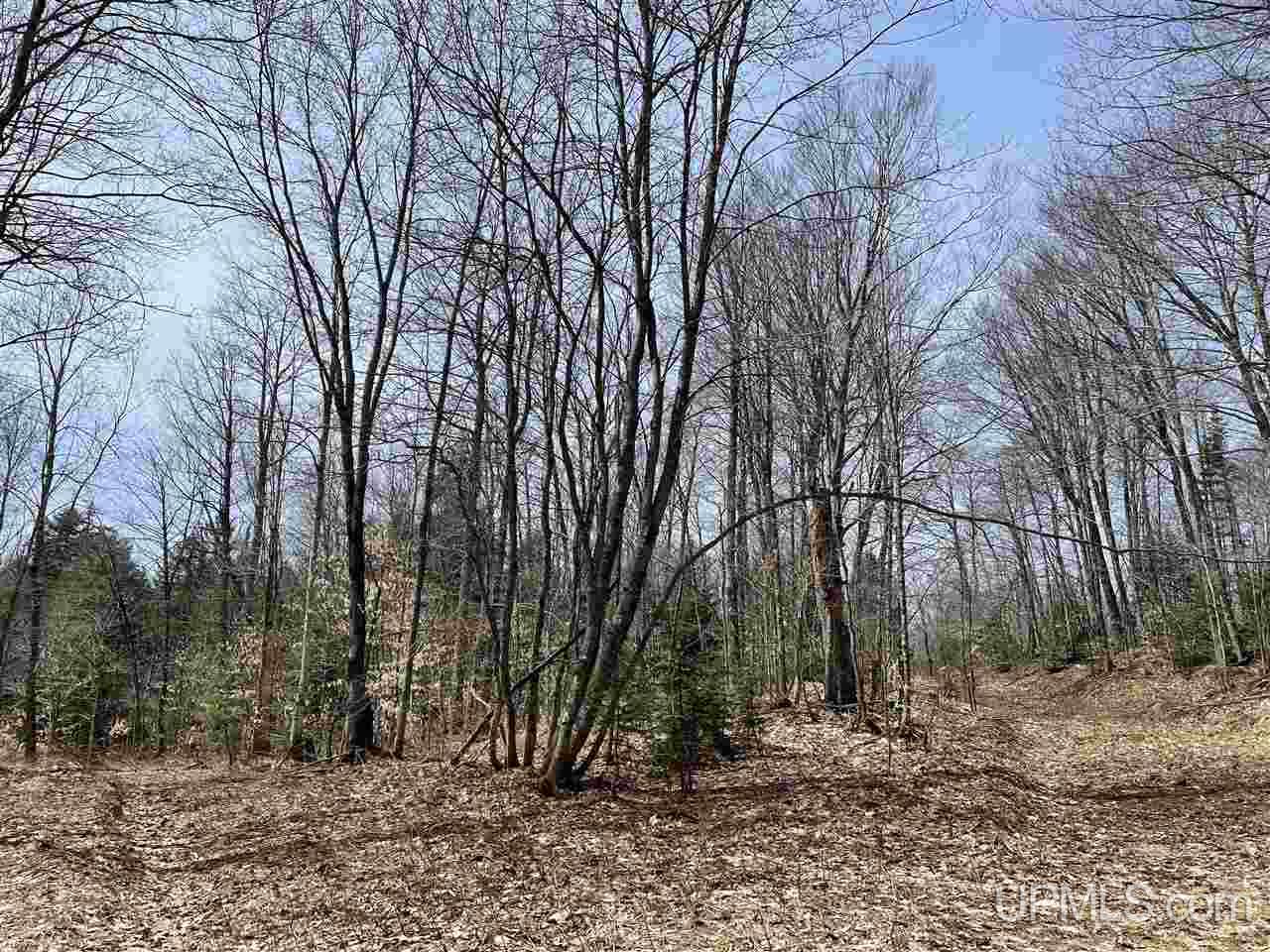 0 Old Seney Road Seney, MI 49883 - Photo 24 of 31