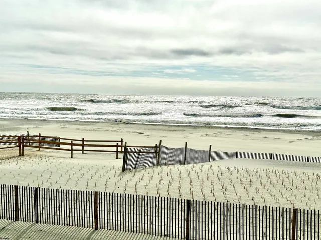 a view of ocean with beach
