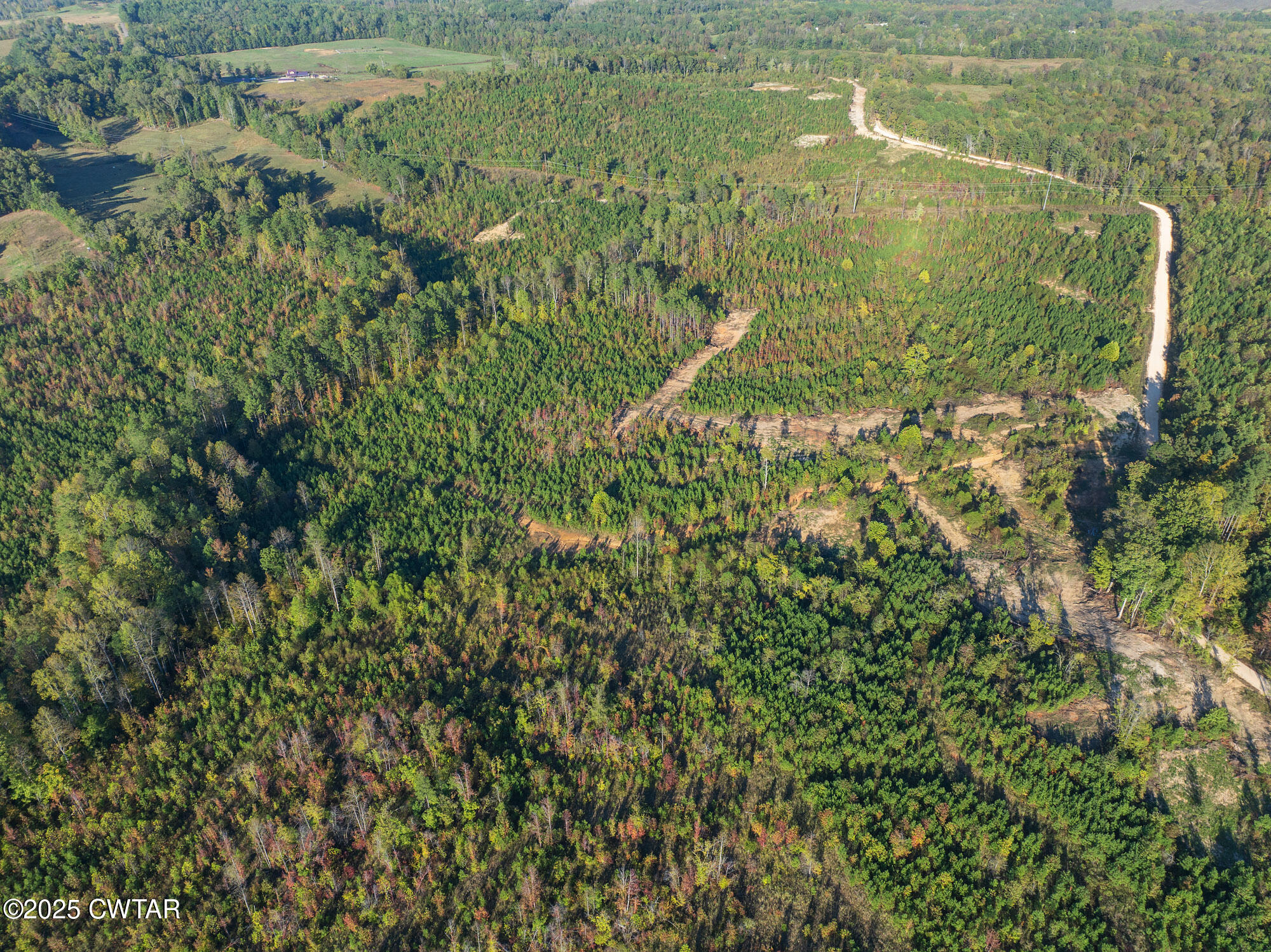 7 Tucker Road Decaturville, TN 38329 - Photo 1 of 6 a view of a lake view