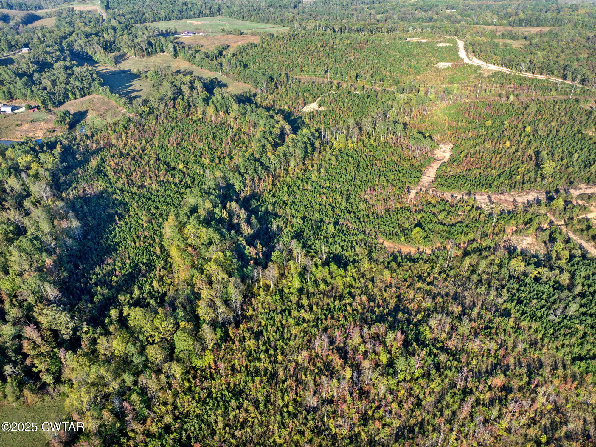 7 Tucker Road Decaturville, TN 38329 - Photo 2 of 6 a view of a field