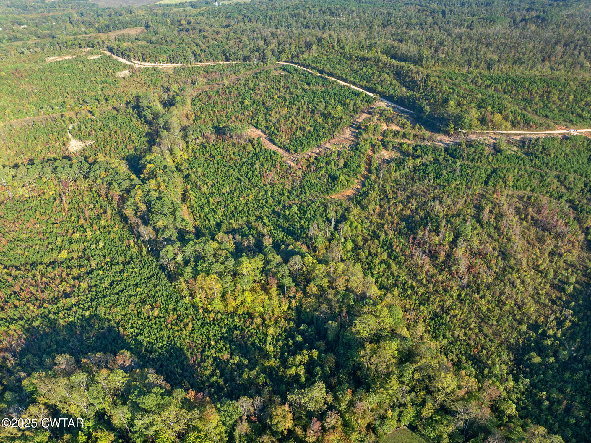7 Tucker Road Decaturville, TN 38329 - Photo 3 of 6 a view of a yard with plants