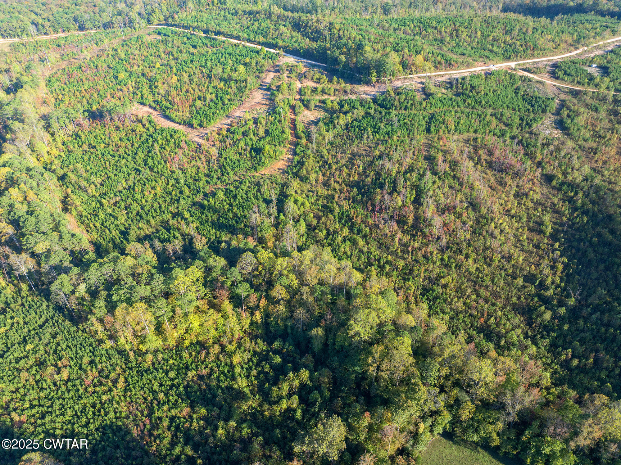 7 Tucker Road Decaturville, TN 38329 - Photo 4 of 6 a view of a yard with plants
