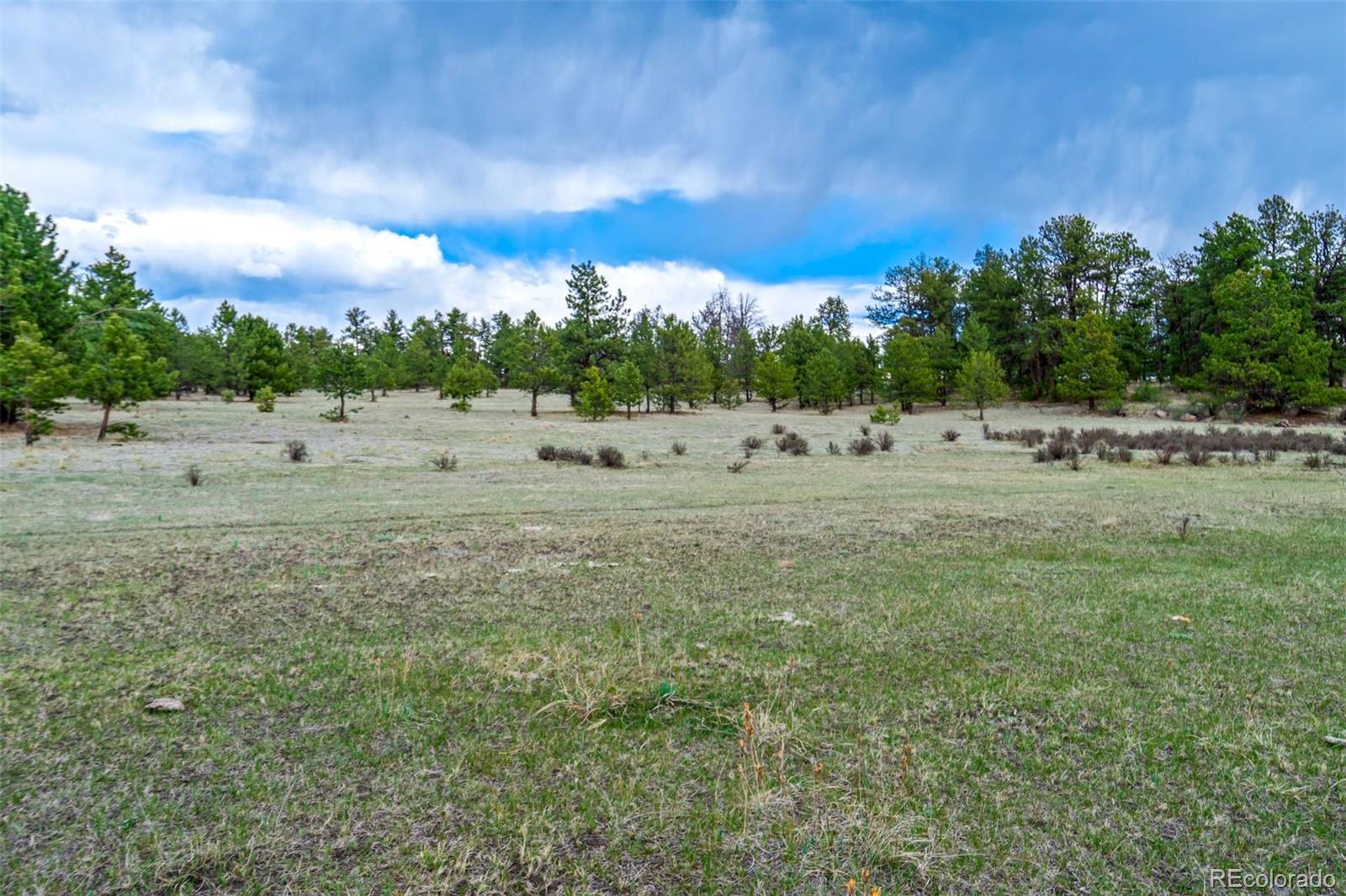 103 Doe Valley Road Guffey, CO 80820 - Photo 6 of 46