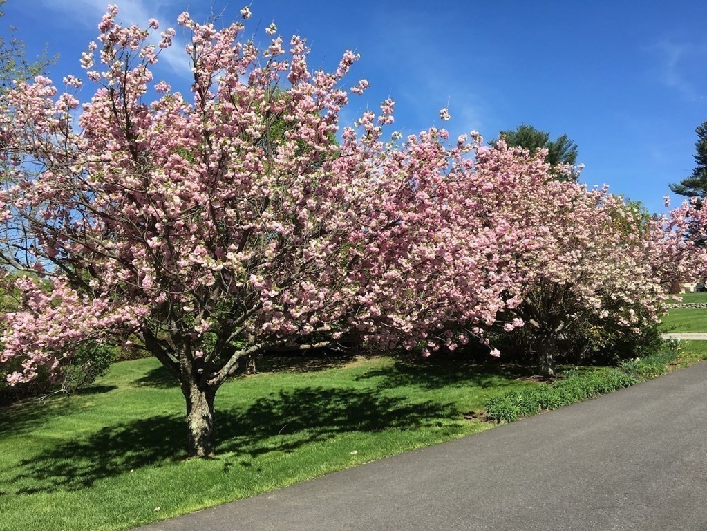 2 Randolph Circle Westford, MA 01886 - Photo 37 of 42