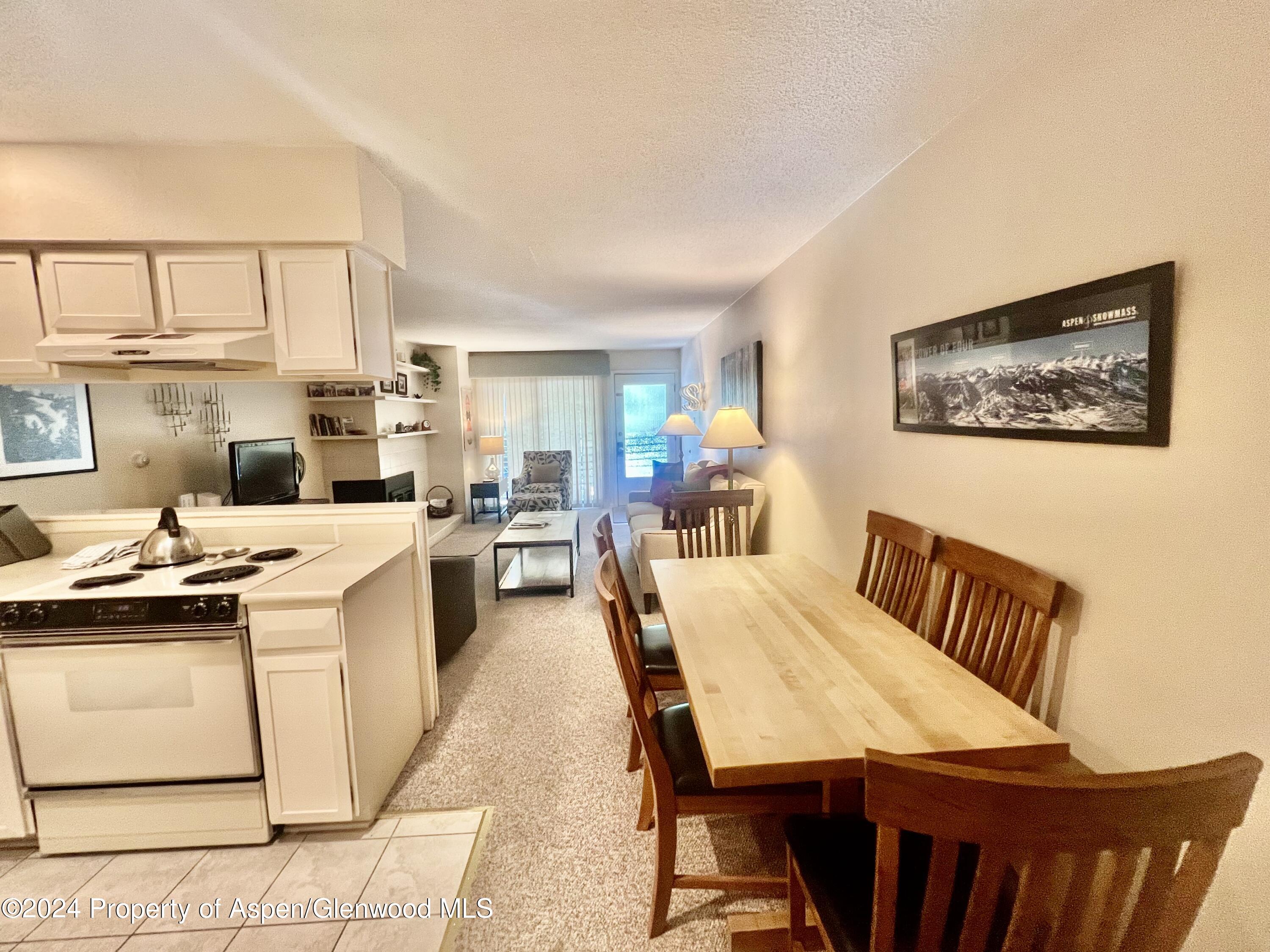 210 East Cooper Avenue, Unit 2D Aspen, CO 81611 - Photo 1 of 16 IMG_7266