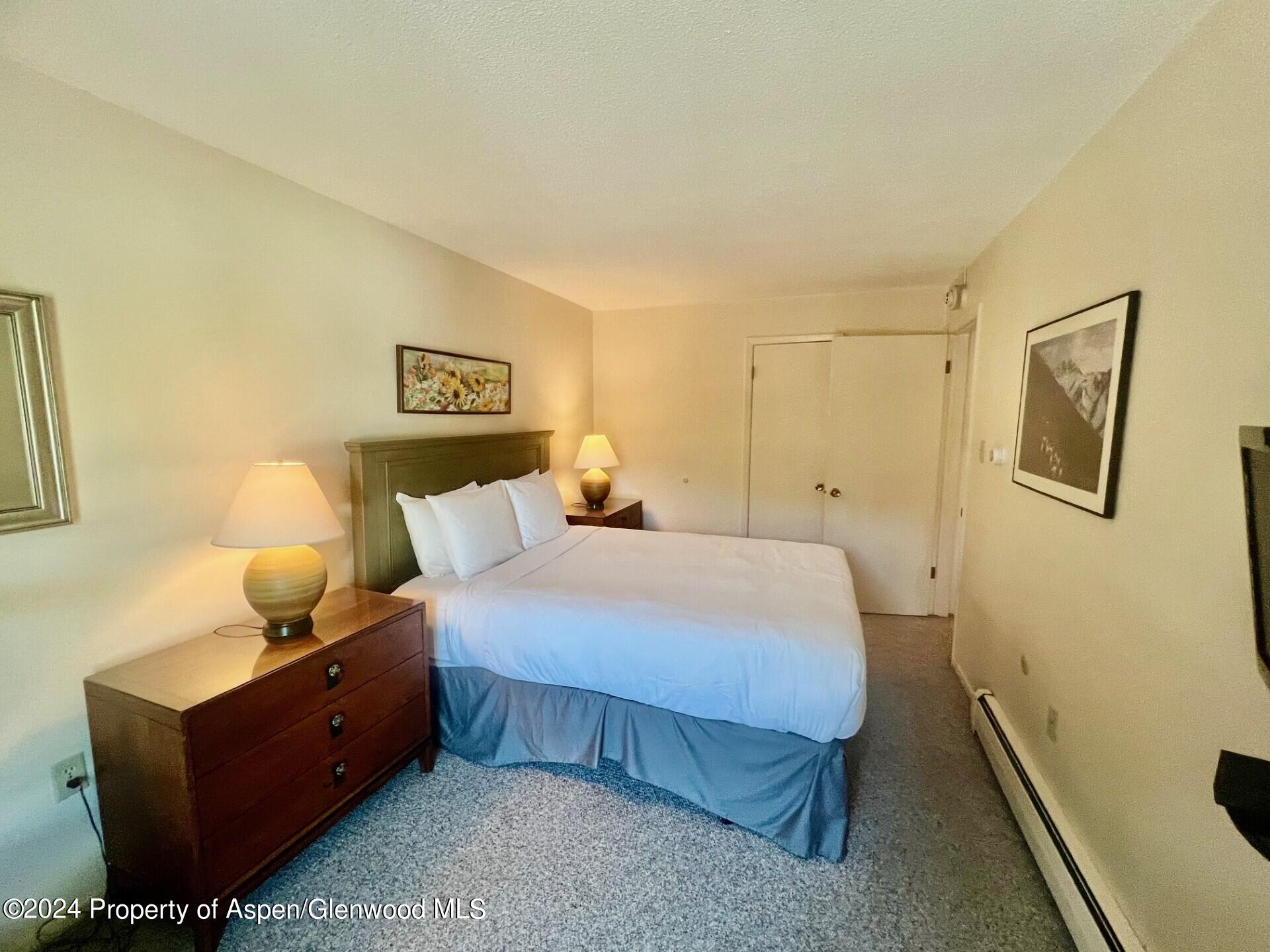 210 East Cooper Avenue, Unit 2D Aspen, CO 81611 - Photo 12 of 16 master bed