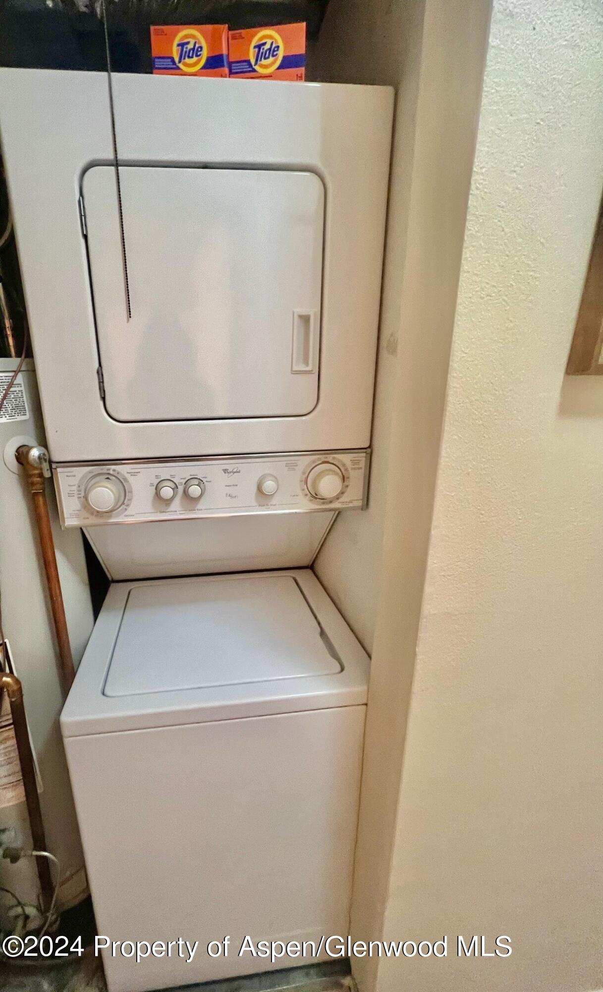 210 East Cooper Avenue, Unit 2D Aspen, CO 81611 - Photo 14 of 16 wash dry