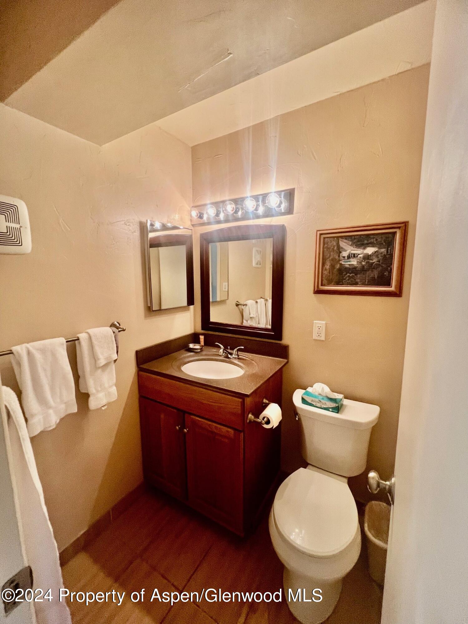 210 East Cooper Avenue, Unit 2D Aspen, CO 81611 - Photo 15 of 16 bathroom 2