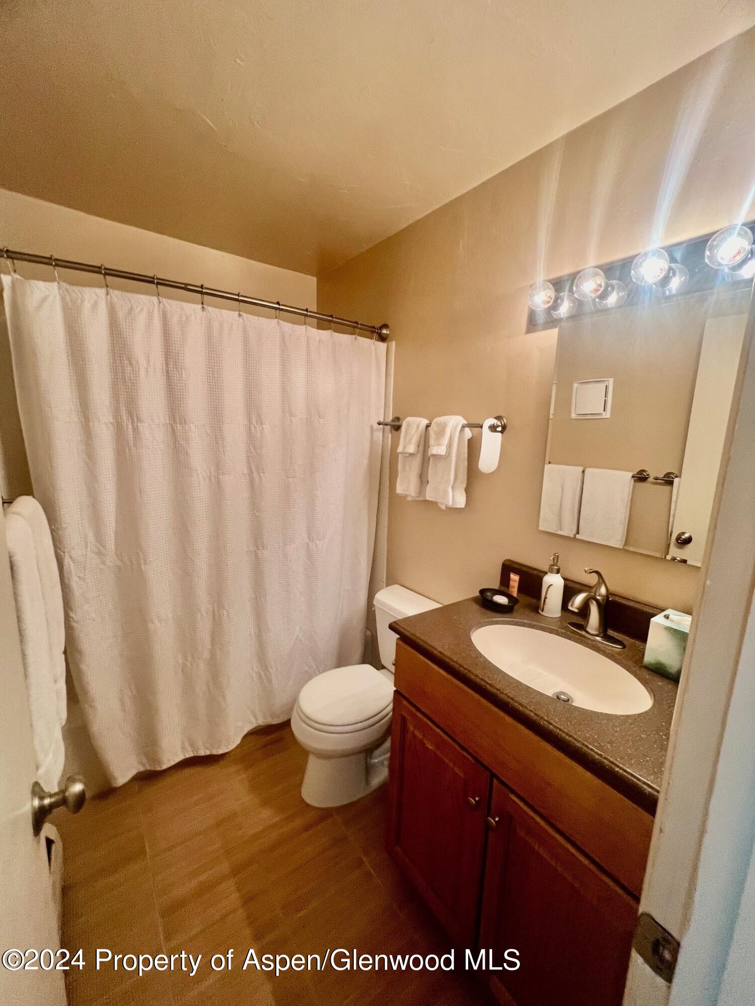 210 East Cooper Avenue, Unit 2D Aspen, CO 81611 - Photo 16 of 16 bathroom 1