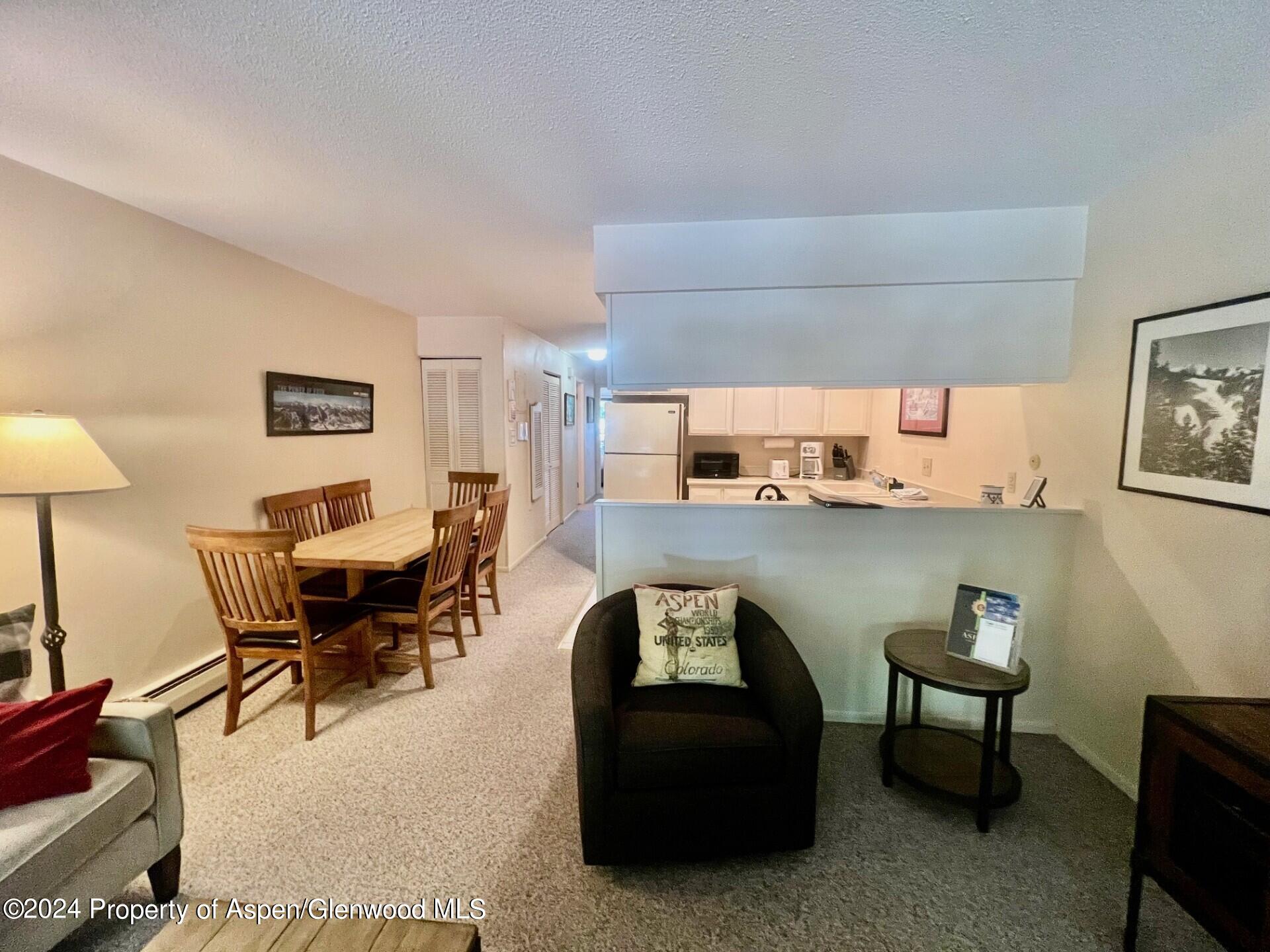 210 East Cooper Avenue, Unit 2D Aspen, CO 81611 - Photo 5 of 16 living room 2