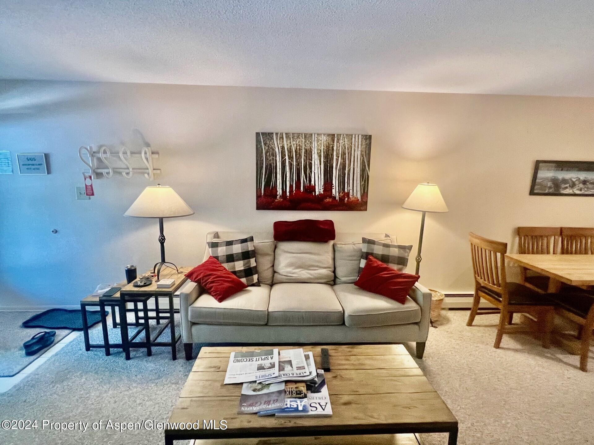 210 East Cooper Avenue, Unit 2D Aspen, CO 81611 - Photo 8 of 16 living room