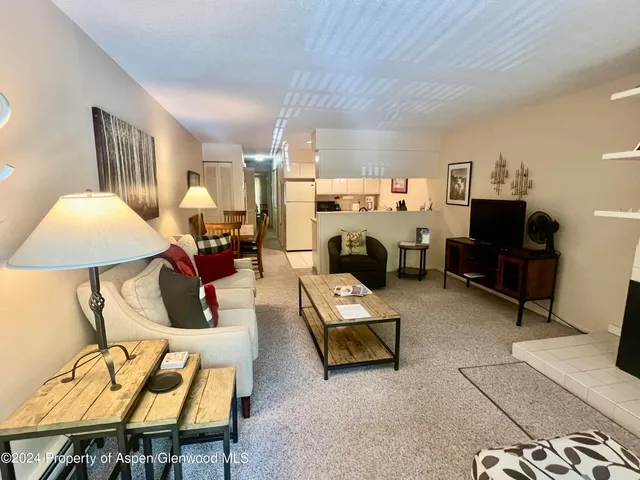 $10,500 | 210 East Cooper Avenue, Unit 2D, Aspen, CO 81611
