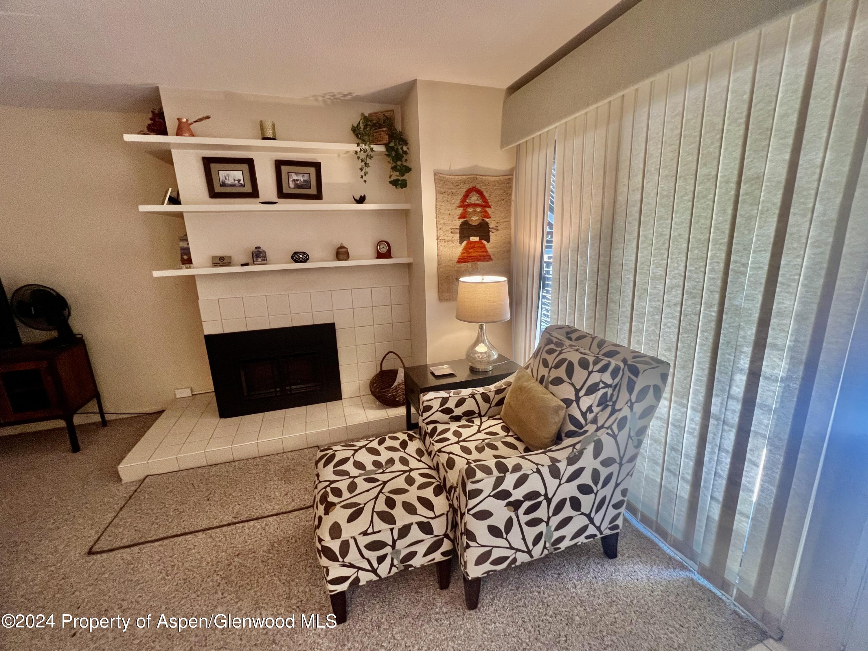 210 East Cooper Avenue, Unit 2D Aspen, CO 81611 - Photo 10 of 16 IMG_7264