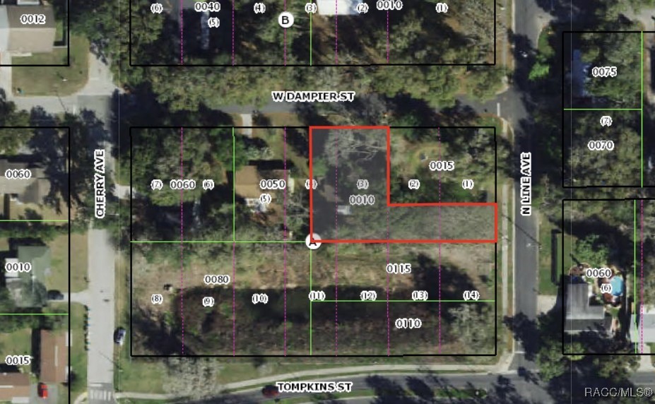 601 West Dampier Street Inverness, FL 34450 - Photo 33 of 33