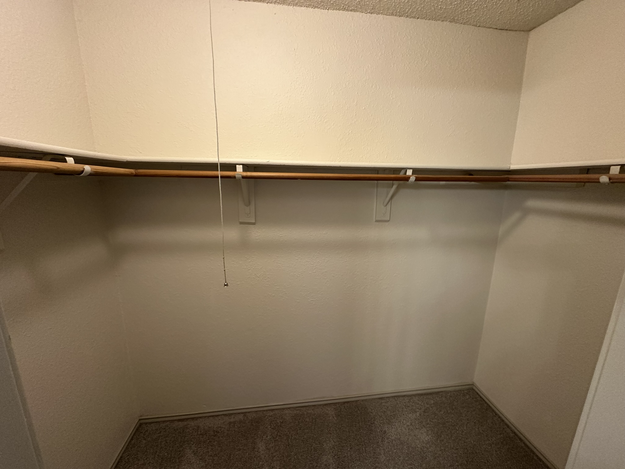 814 Smoke Signal Pass Pflugerville, TX 78660 - Photo 21 of 29 Master Spacious closet with dark colored carpet
