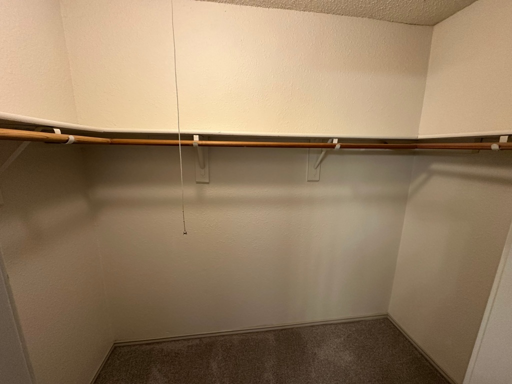 814 Smoke Signal Pass Pflugerville, TX 78660 - Photo 21 of 29 Master Spacious closet with dark colored carpet